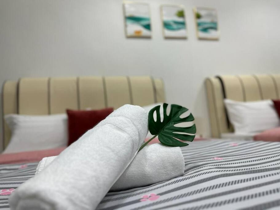 Ceo2 Soho Business Suite#Disneys Hs#Usm #Pisa#Airport#Pantai Hospital Bayan Lepas Luaran gambar